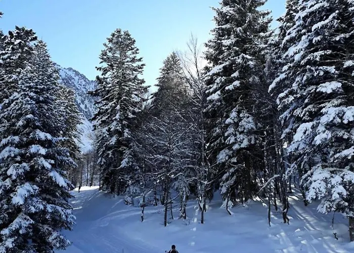 Apartament Lienz - Avec Petite Terrasse Expose Sud Proche Du Centre De Mae-8604 Barèges